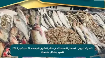 تحديث اليوم.. أسعار الأسماك في كفر الشيخ الجمعة 12 سبتمبر 2025 تتغير بشكل ملحوظ